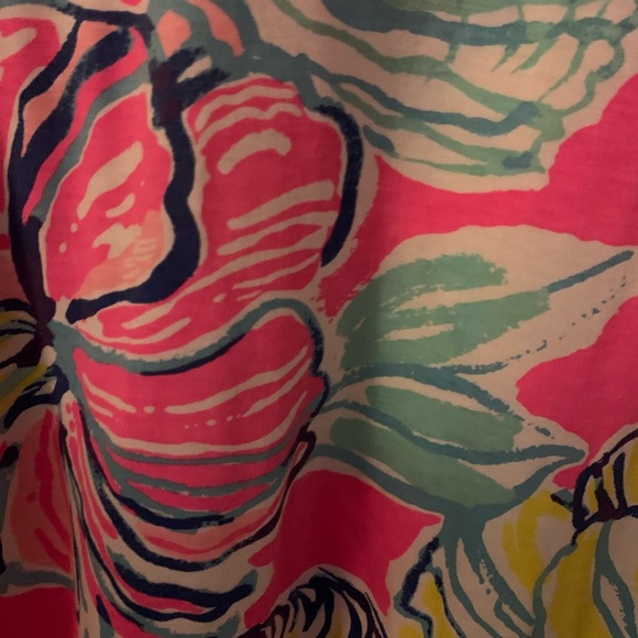 Lily Pulitzer Dress 🌸☀️🌺 - Picture 2 of 5